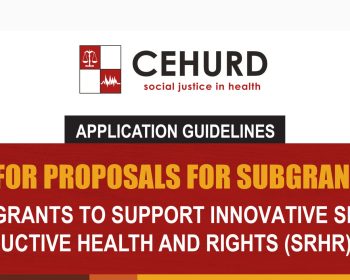 2024 APPLICATION GUIDELINES FOR CEHURD SMALL GRANTS