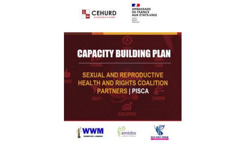 Capacity Building Plan; Sexual And Reproductive Health And Rights Coalition Partners (PISCCA)