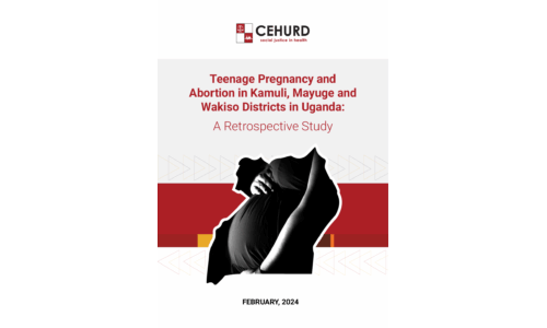 A Retrospective Study: Teenage Pregnancy and Abortion in Kamuli, Mayuge and  Wakiso Districts in Uganda