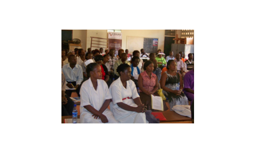 Regional meeting on health system governance and community participation in health