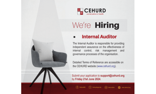 JOB ADVERT; Internal Auditor