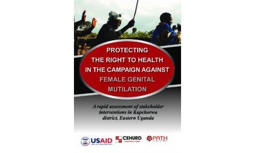Protecting the Right to Health in the Campaign against Female Genital Mutilation