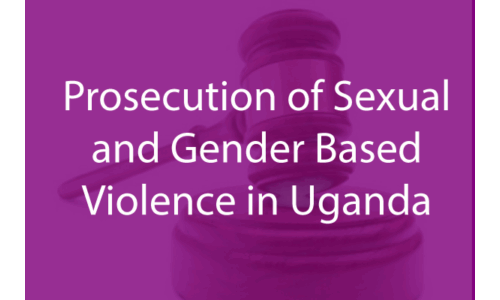 Sexual and Gender Based Violence Press Release 20 August 2018