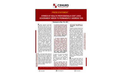 PRESS STATEMENT: Strikes by Health Professionals Cost Lives | Government Needs to Permanently Address This