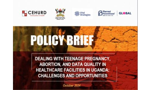 POLICY BRIEF: Dealing with Teenage Pregnancy, Abortion, and Data Quality in Healthcare Facilities in Uganda; Challenges and Opportunities