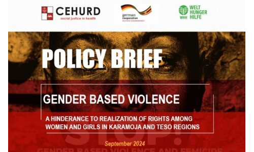 POLICY BRIEF: GENDER BASED VIOLENCE - A Hindrance to the Realization of Rights Among Women and Girls in Karamoja And Teso Regions