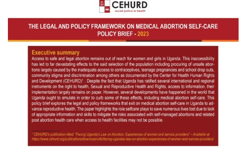 The Legal and Policy Framework on Medical Abortion Self-Care Policy Brief - 2023