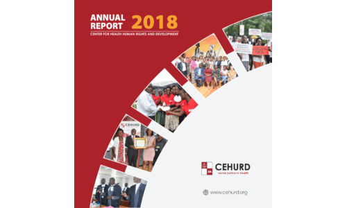 2018 CEHURD Annual Report